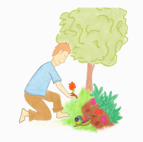 eenie tree