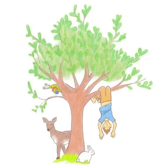 eenie tree