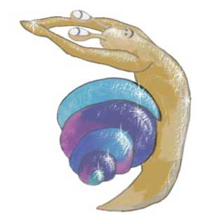 yoga-for-children-snail-pose